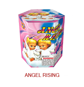 Angel-Rising-MS2166.jpg