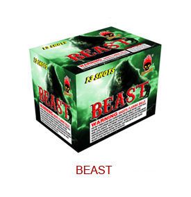 Beast-MS2121.jpg