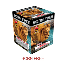 Born-Free-MS8419.jpg