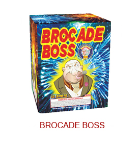 Brocade-Boss-MS1126.jpg