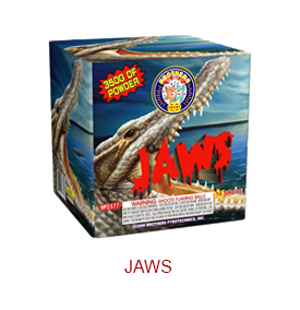 Jaws-MS127.jpg