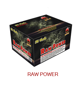 Raw-Power-MS2888.jpg