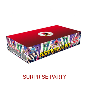 Surprise-Party-MS2169.jpg