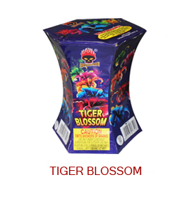 Tiger-Blossom-FN761.jpg