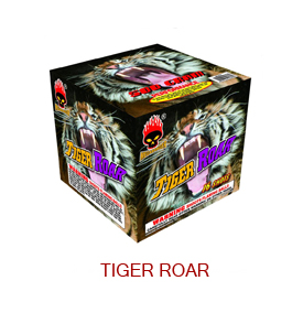 Tiger-Roar-MS2889.jpg