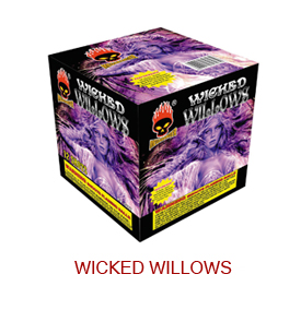 Wicked-Willows-MS1235.jpg