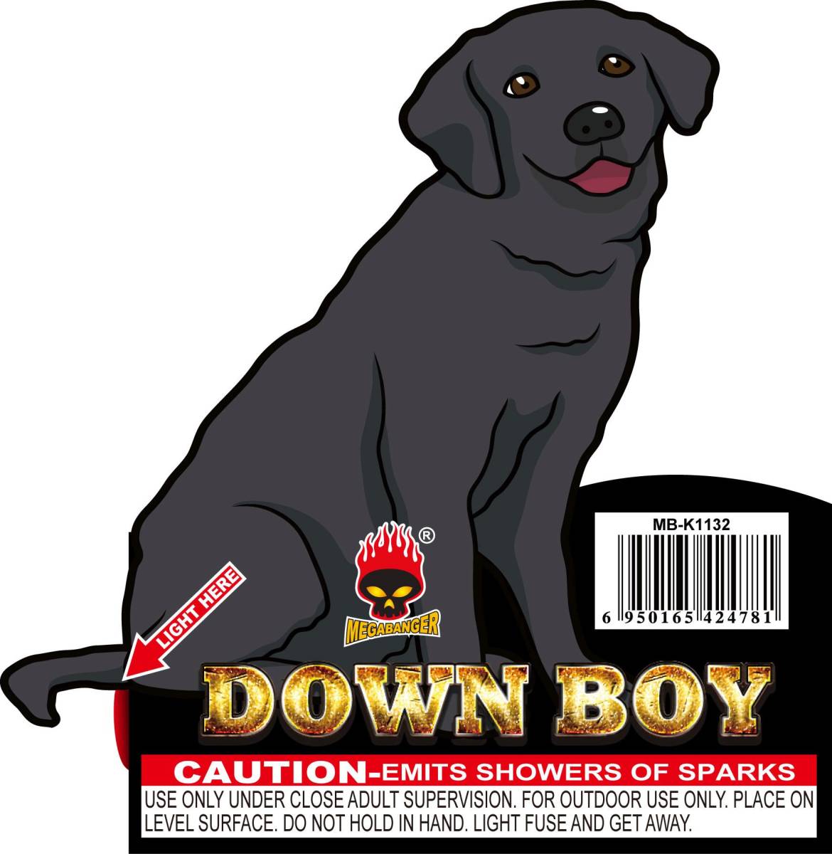 Down-Boy.jpg