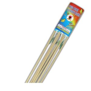 Flying Color Butterfly