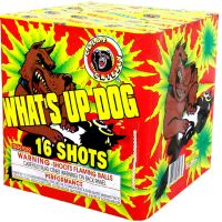 What's Up Dog