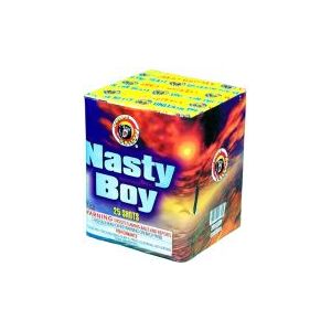 Nasty Boy